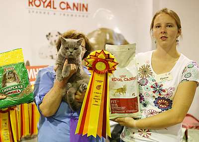 �������� ����� '���-�����-��������' 20-21 �������� 2014 10-146-169A1727 copy.jpg